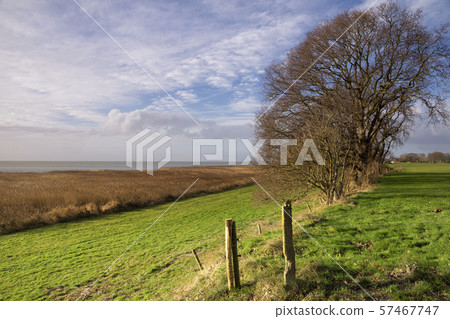 Trees on the Mirnser cliff Trees on the Mirnser cliff 57467747
