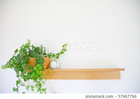 display display 57467766