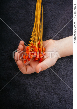 Bunch of dried orange color flower in hand 57467871