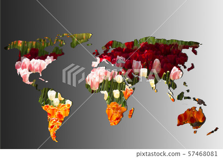 Roughly outlined world map with with tulip garden Roughly outlined world map with with tulip garden 57468081