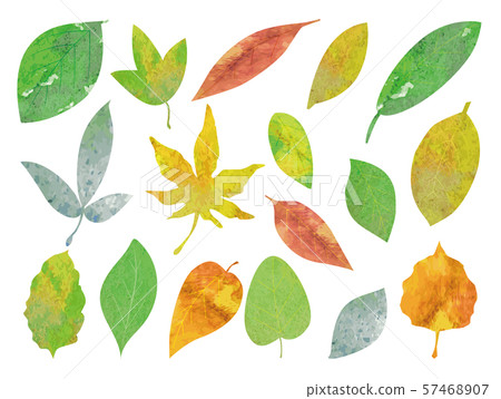手拉的葉子水彩 57468907