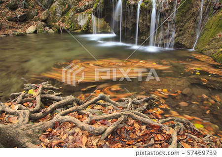 Beautiful autumn landscape with a waterfall in the autumn forest. Beautiful autumn landscape with a waterfall in the autumn forest. 57469739