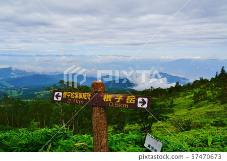 Hiking trail from Sugadaira Farm to Nekodake 57470673