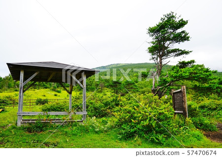Hiking observatory on the mountain trail from Sugadaira to Nekodake 57470674