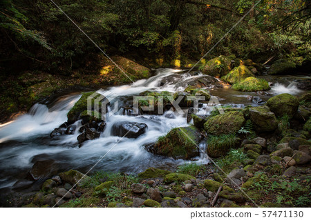 Nature Nature 57471130