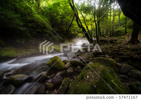 Nature Nature 57471167