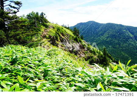 Rowing the vertical track from Mt. Neko Rowing the vertical track from Mt. Neko 57471391