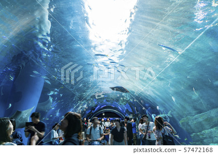 [東京] Aqua Park Shinagawa Wonder Tube 57472168