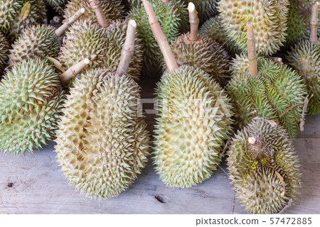 Heap of durian fruits sit on wood table in market. Heap of durian fruits sit on wood table in market. 57472885