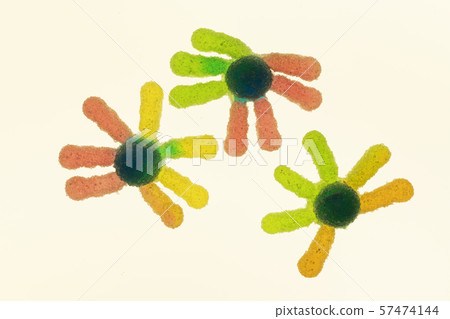 Jelly confectionery modeling Jelly confectionery modeling 57474144