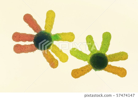 Jelly confectionery modeling Jelly confectionery modeling 57474147