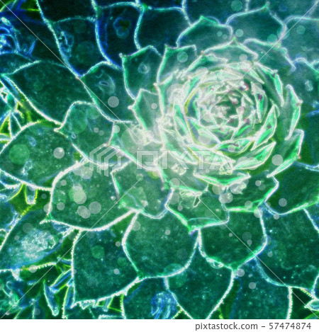 Abstract Succulent Illustration Abstract Succulent Illustration 57474874
