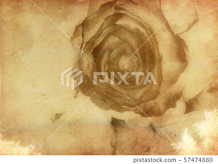 Abstract grunge rose Abstract grunge rose 57474880