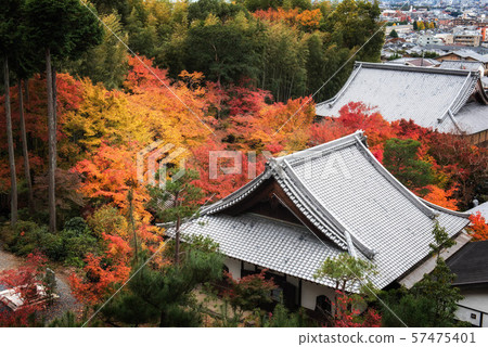 Kyoto temple and autumn leaves seen from above Kyoto temple and autumn leaves seen from above 57475401