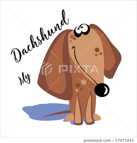My Dachshund. Lettering. A cartoon dog. Funny, funny. Vector illustration. 57475843