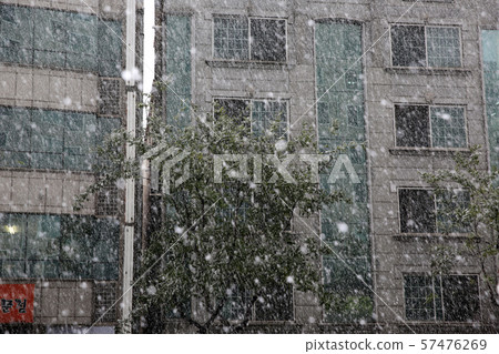 大雪 大雪 57476269