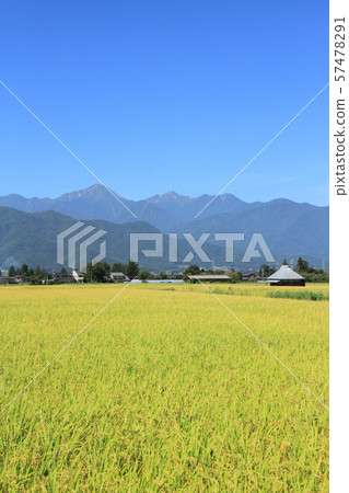 Azumino reborn fall 57478291