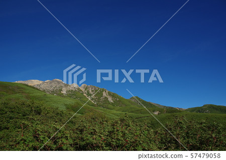 Mt. Ontakeyama in the summer 57479058