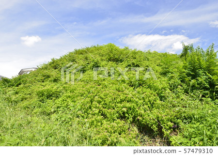 [Osaka Prefecture Habikino City] World Heritage Site, Furuichi Burial Mounds (Nishiumazuka Burial Mound) 57479310