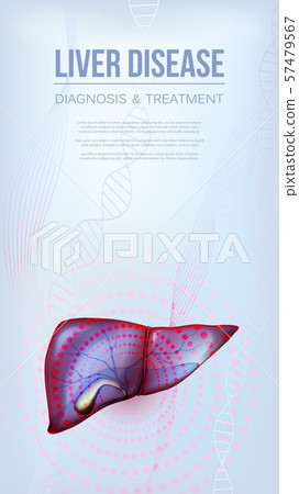 Vertical social media baner with realistic liver and gallbladder Vertical social media baner with realistic liver and gallbladder 57479567