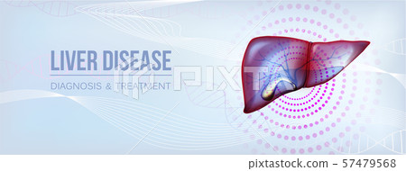 Realistic liver and gallbladder social media banner Realistic liver and gallbladder social media banner 57479568
