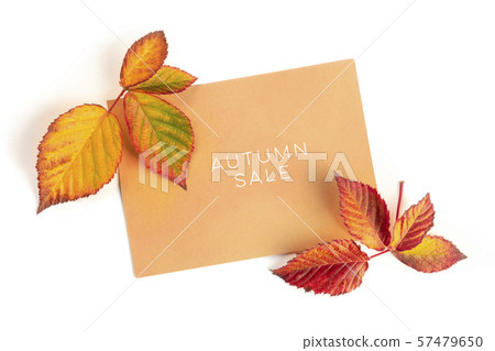 Autum Sale. Discount banner or flyer design template with vibrant autumn leaves, overhead shot on a 57479650