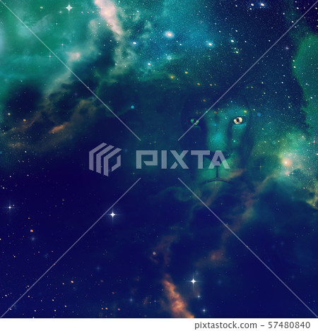 3d lion with starry space 3d lion with starry space 57480840