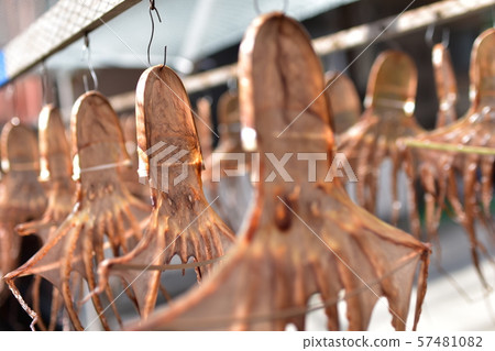 Dried octopus 57481082
