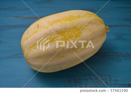 南瓜南瓜 南瓜南瓜 57481590