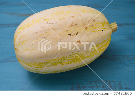 Pumpkin pumpkin Pumpkin pumpkin 57481600