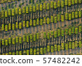 Oysters farm rows near Lagos, Algarve, Portugal aerial drone view 57482242