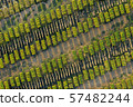 Oyster growing near Lagos, Algarve, Portugal aerial drone view 57482244