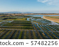 Oysters farm rows near Lagos, Algarve, Portugal aerial drone view 57482256