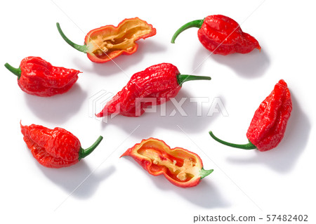 Bhut Jolokia ghost pepper c. chinense, paths, top 57482402