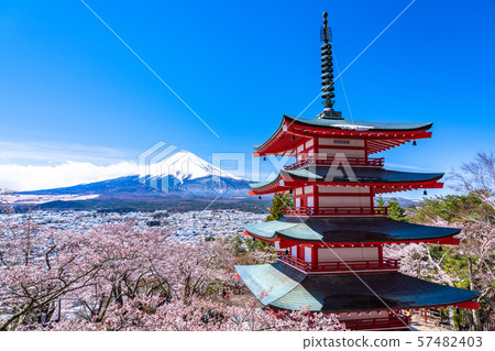 可以俯瞰富士山的櫻花和雪景的“山梨縣”新村山仙根公園 57482403