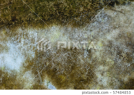 Moss background, Green moss on grunge texture. 57484853