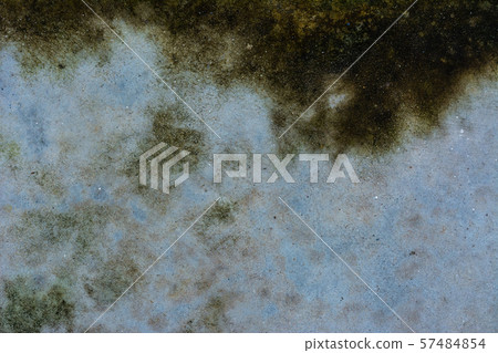 Moss background, Green moss on grunge texture. 57484854