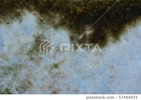 Moss background, Green moss on grunge texture. 57484855