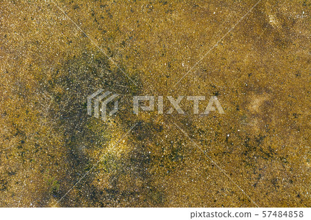 Moss background, Green moss on grunge texture. Moss background, Green moss on grunge texture. 57484858