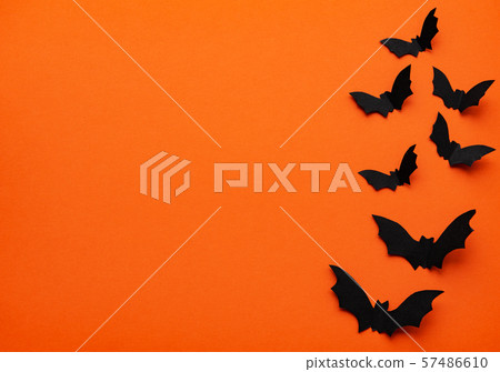 Halloween concept Halloween concept 57486610