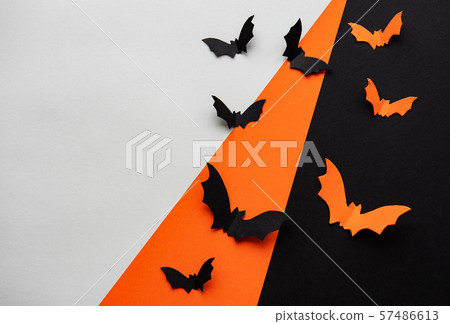 Halloween concept Halloween concept 57486613