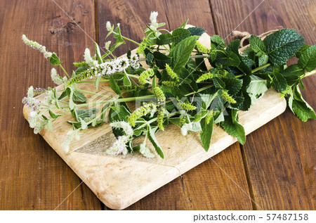 Peppermint. Mint grass with flowers close up. Peppermint. Mint grass with flowers close up. 57487158