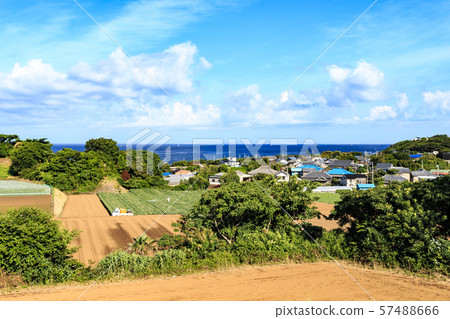 場(初夏) 場(初夏) 57488666