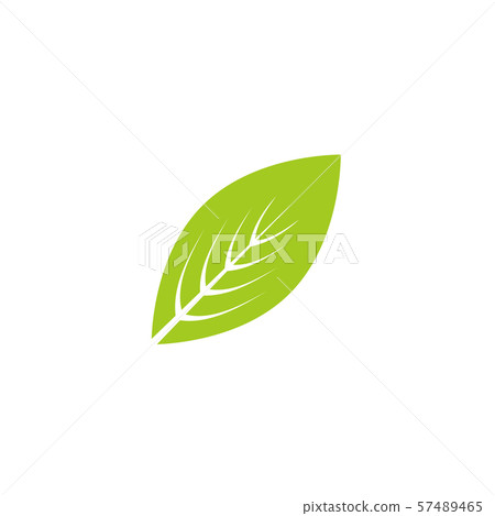 Leaf graphic design template vector isolated - Stock Illustration ...