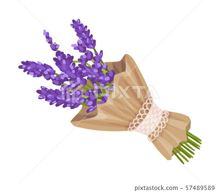 Bouquet of lavender in craft paper. Vector illustration on a white background. 57489589