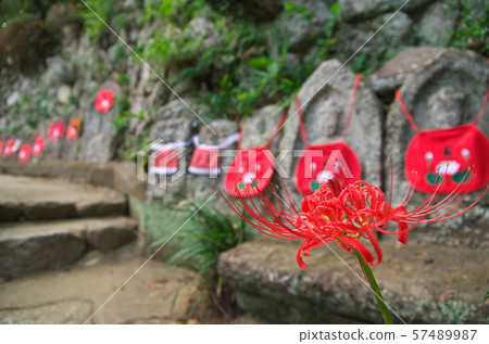 A cluster amaryllis and Jizo of Nara Katsuragi Kodo 57489987