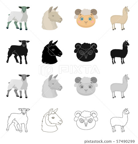 Vector design of sheep and goat logo. Set of sheep and happy stock symbol for web. 57490299