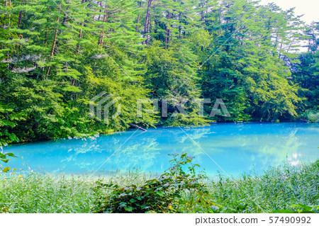 Summer Aonuma 2 57490992