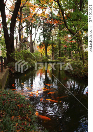 Hirainji Precinct Forest Hosei Pond Hirainji Precinct Forest Hosei Pond 57491101