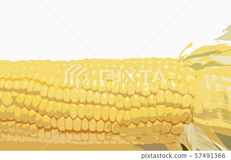 玉米玉米 玉米玉米 57491366